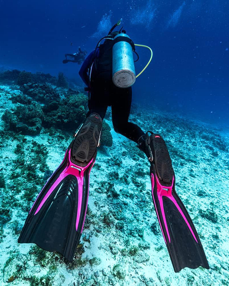 Hyflex Switch Fins
